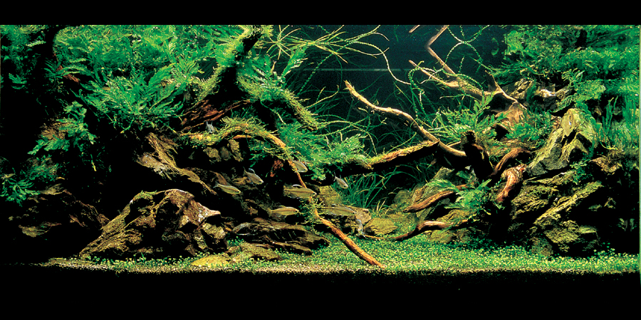 Nature Style