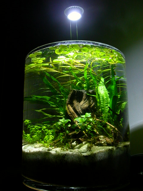 nano akvarium
