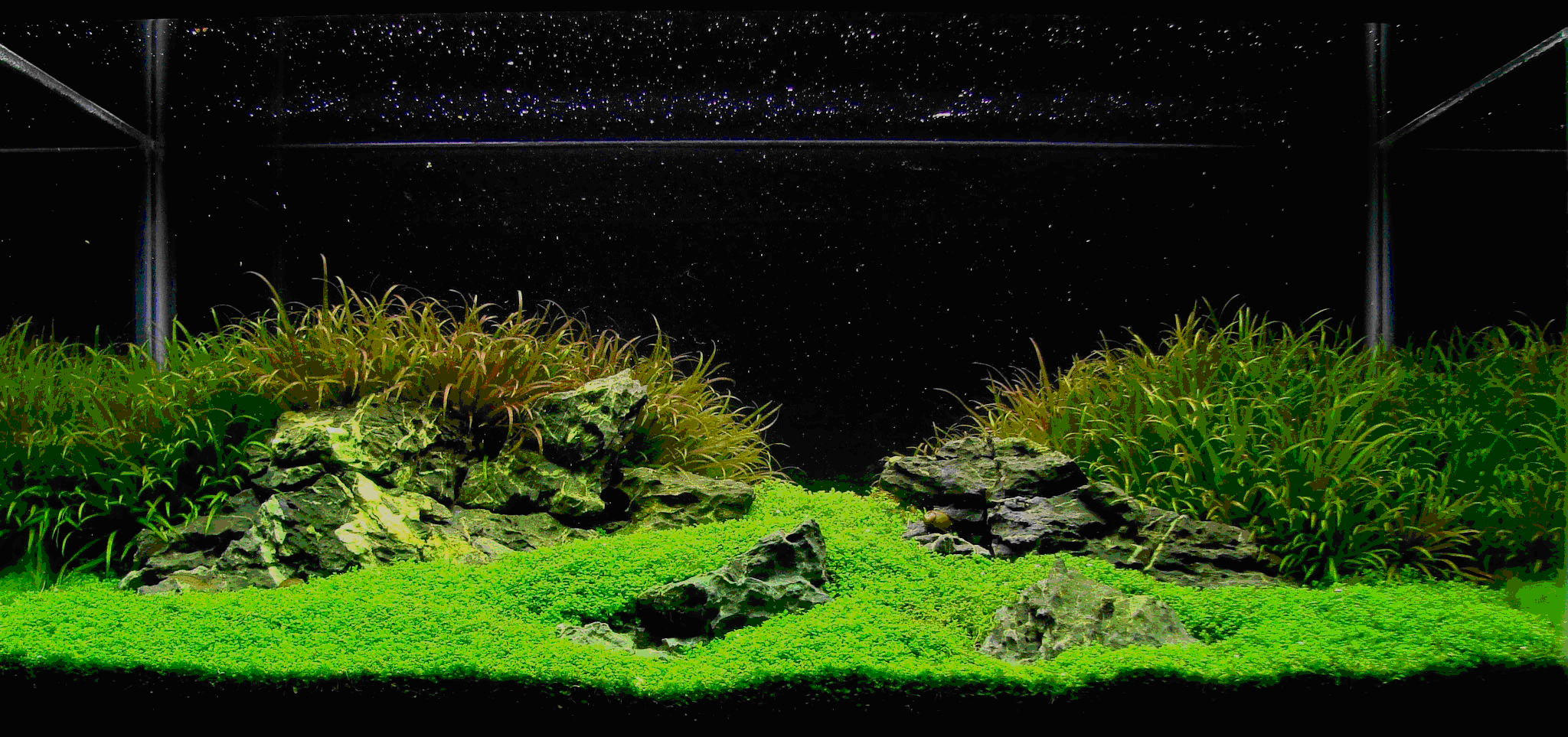 AquaScaping World Magazine  Iwagumi Style